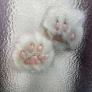 ヒメ日記 2025/04/18 10:56 投稿 りな 熟女の風俗アウトレット大垣安八羽島店