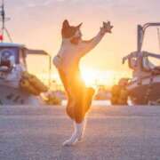 ヒメ日記 2025/04/19 22:06 投稿 りな 熟女の風俗アウトレット大垣安八羽島店