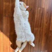 ヒメ日記 2025/04/21 08:56 投稿 りな 熟女の風俗アウトレット大垣安八羽島店