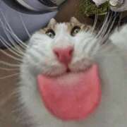 ヒメ日記 2025/04/22 10:56 投稿 りな 熟女の風俗アウトレット大垣安八羽島店