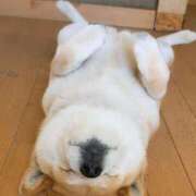 ヒメ日記 2025/04/23 23:16 投稿 りな 熟女の風俗アウトレット大垣安八羽島店