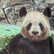 ヒメ日記 2025/04/24 23:56 投稿 りな 熟女の風俗アウトレット大垣安八羽島店