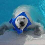 ヒメ日記 2025/04/25 11:26 投稿 りな 熟女の風俗アウトレット大垣安八羽島店