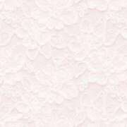 ヒメ日記 2025/06/17 20:20 投稿 あおい 三重四日市ちゃんこ