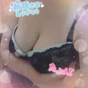 ヒメ日記 2025/09/11 15:51 投稿 あおい 三重四日市ちゃんこ