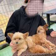 さら☆究極の癒し系若妻 あしたー！！ 松戸人妻城