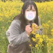 ヒメ日記 2025/04/05 11:02 投稿 れな 君とふわふわプリンセスin熊谷