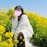 ヒメ日記 2025/04/06 13:53 投稿 れな 君とふわふわプリンセスin熊谷