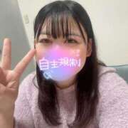 ヒメ日記 2025/04/07 09:01 投稿 れな 君とふわふわプリンセスin熊谷