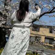 ヒメ日記 2025/04/08 08:00 投稿 れな 君とふわふわプリンセスin熊谷