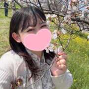 ヒメ日記 2025/04/09 14:46 投稿 れな 君とふわふわプリンセスin熊谷