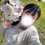 ヒメ日記 2025/04/11 14:21 投稿 れな 君とふわふわプリンセスin熊谷