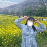 ヒメ日記 2025/04/12 20:01 投稿 れな 君とふわふわプリンセスin熊谷