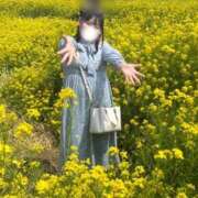 ヒメ日記 2025/04/19 09:15 投稿 れな 君とふわふわプリンセスin熊谷