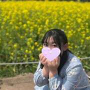 ヒメ日記 2025/04/24 07:43 投稿 れな 君とふわふわプリンセスin熊谷