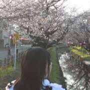 ヒメ日記 2026/03/24 14:42 投稿 れな 君とふわふわプリンセスin熊谷