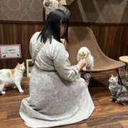 ヒメ日記 2026/05/12 17:10 投稿 れな 君とふわふわプリンセスin熊谷