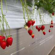 ヒメ日記 2026/02/22 19:50 投稿 もも★ 阿AUN呍(あうん)