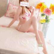 ヒメ日記 2025/11/19 17:40 投稿 すずか★ 阿AUN呍(あうん)