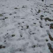 ヒメ日記 2026/02/09 16:12 投稿 すずか★ 阿AUN呍(あうん)