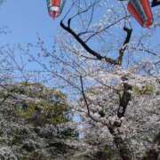 ヒメ日記 2026/03/30 07:34 投稿 すずか★ 阿AUN呍(あうん)