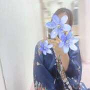 ヒメ日記 2025/07/23 07:57 投稿 さき いざ候 本館