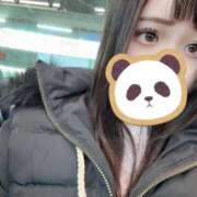 ヒメ日記 2025/03/31 09:19 投稿 ちい★ 阿AUN呍(あうん)