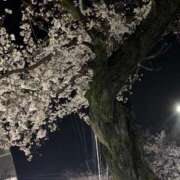 ヒメ日記 2025/04/04 20:33 投稿 ちい★ 阿AUN呍(あうん)