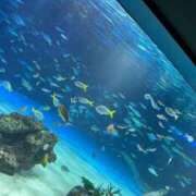 ヒメ日記 2025/03/24 18:46 投稿 水城　蓮華 ～逢～tokyo