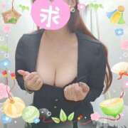 ヒメ日記 2025/02/08 12:00 投稿 れおな 風鈴（ふうりん）