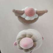 ヒメ日記 2026/01/08 01:05 投稿 あくあ ピンキーエコ