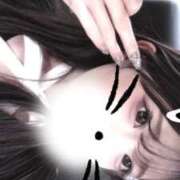 ヒメ日記 2026/04/19 15:22 投稿 あくあ ピンキーエコ