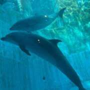 しほ お気に入りの場所🐟 チェックイン横浜女学園