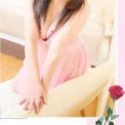 ヒメ日記 2025/05/21 08:29 投稿 まこと 待ちナビ