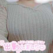 ヒメ日記 2025/01/22 13:52 投稿 ここ 白いぽっちゃりさん