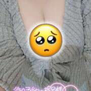 ヒメ日記 2025/01/28 22:22 投稿 ここ 白いぽっちゃりさん