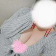 ヒメ日記 2025/02/07 12:52 投稿 ここ 白いぽっちゃりさん