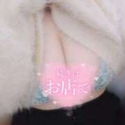 ヒメ日記 2025/02/09 08:12 投稿 ここ 白いぽっちゃりさん