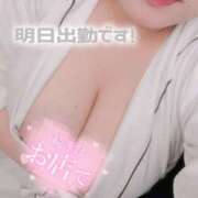 ヒメ日記 2025/02/17 22:12 投稿 ここ 白いぽっちゃりさん