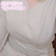 ヒメ日記 2025/02/18 14:22 投稿 ここ 白いぽっちゃりさん