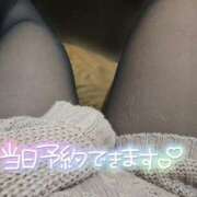 ヒメ日記 2025/03/08 15:50 投稿 ここ 白いぽっちゃりさん