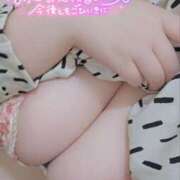 ヒメ日記 2025/04/12 00:42 投稿 ここ 白いぽっちゃりさん