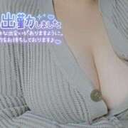 ヒメ日記 2025/06/20 14:52 投稿 ここ 白いぽっちゃりさん