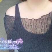 ヒメ日記 2025/07/13 12:42 投稿 ここ 白いぽっちゃりさん