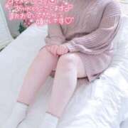 ヒメ日記 2025/08/14 06:32 投稿 ここ 白いぽっちゃりさん