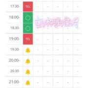 ヒメ日記 2025/08/22 18:02 投稿 ここ 白いぽっちゃりさん