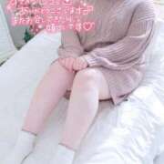 ヒメ日記 2025/10/17 01:12 投稿 ここ 白いぽっちゃりさん