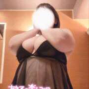 ヒメ日記 2025/10/18 15:15 投稿 ここ 白いぽっちゃりさん