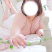 ヒメ日記 2026/03/13 11:41 投稿 ここ 白いぽっちゃりさん