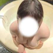 ヒメ日記 2026/03/28 11:08 投稿 ここ 白いぽっちゃりさん